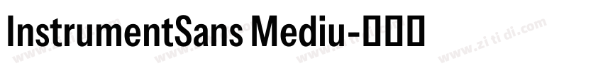 InstrumentSans Mediu字体转换